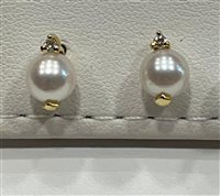 Ohrringe Salvini Dame in Gelbgold Perla 0.05 Ct N80251 - N80251